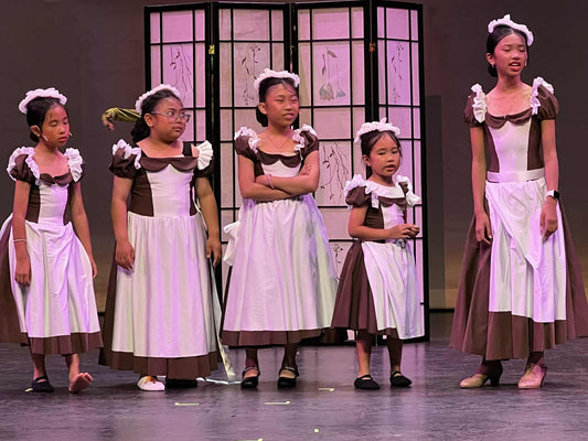 Maid / Village Dress Costume