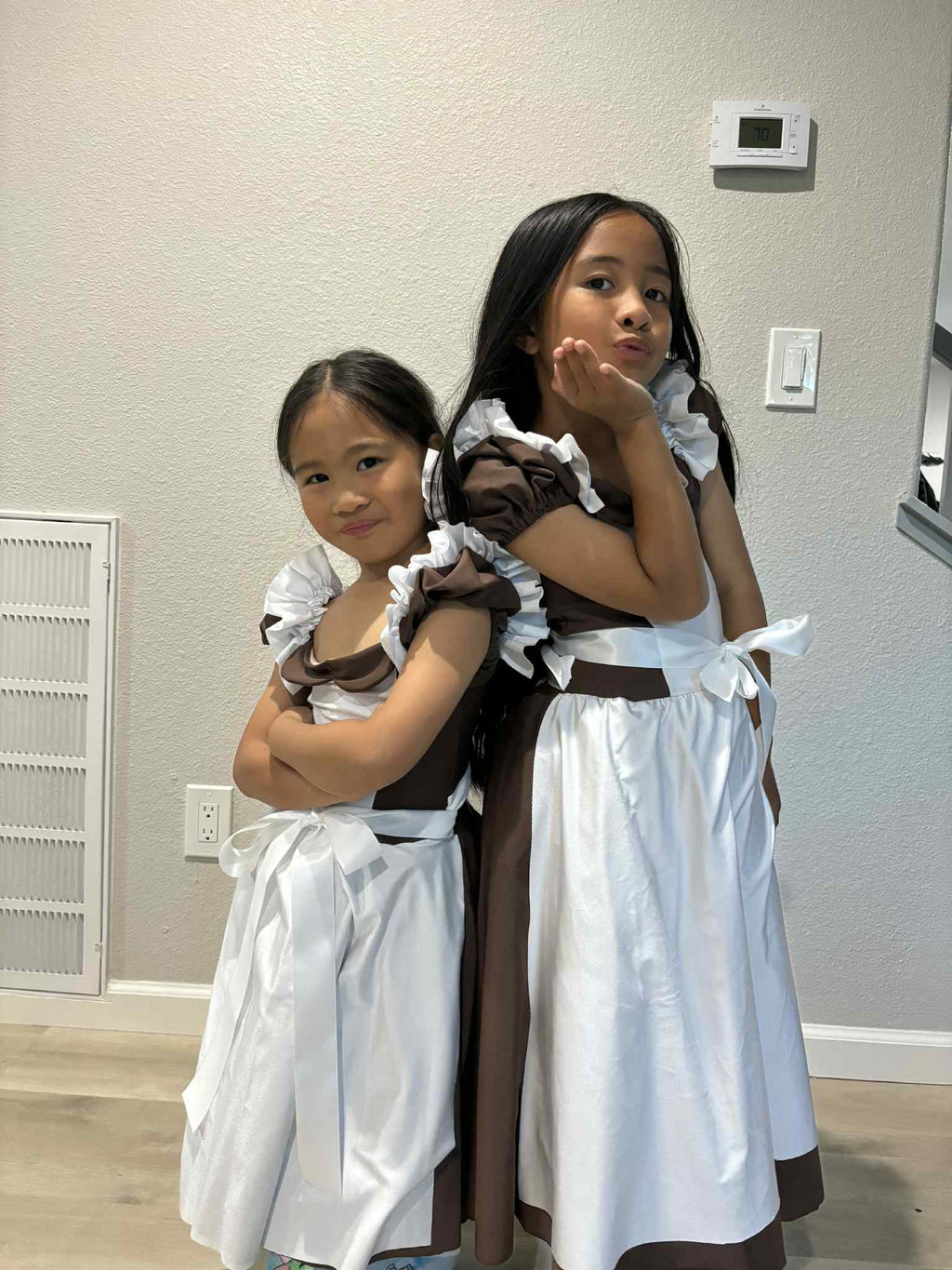 Maid / Village Dress Costume