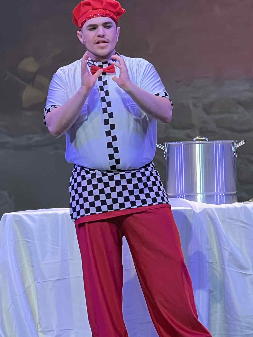 Premium Male Chef Costume, Classic Stage & Theatre Outfit