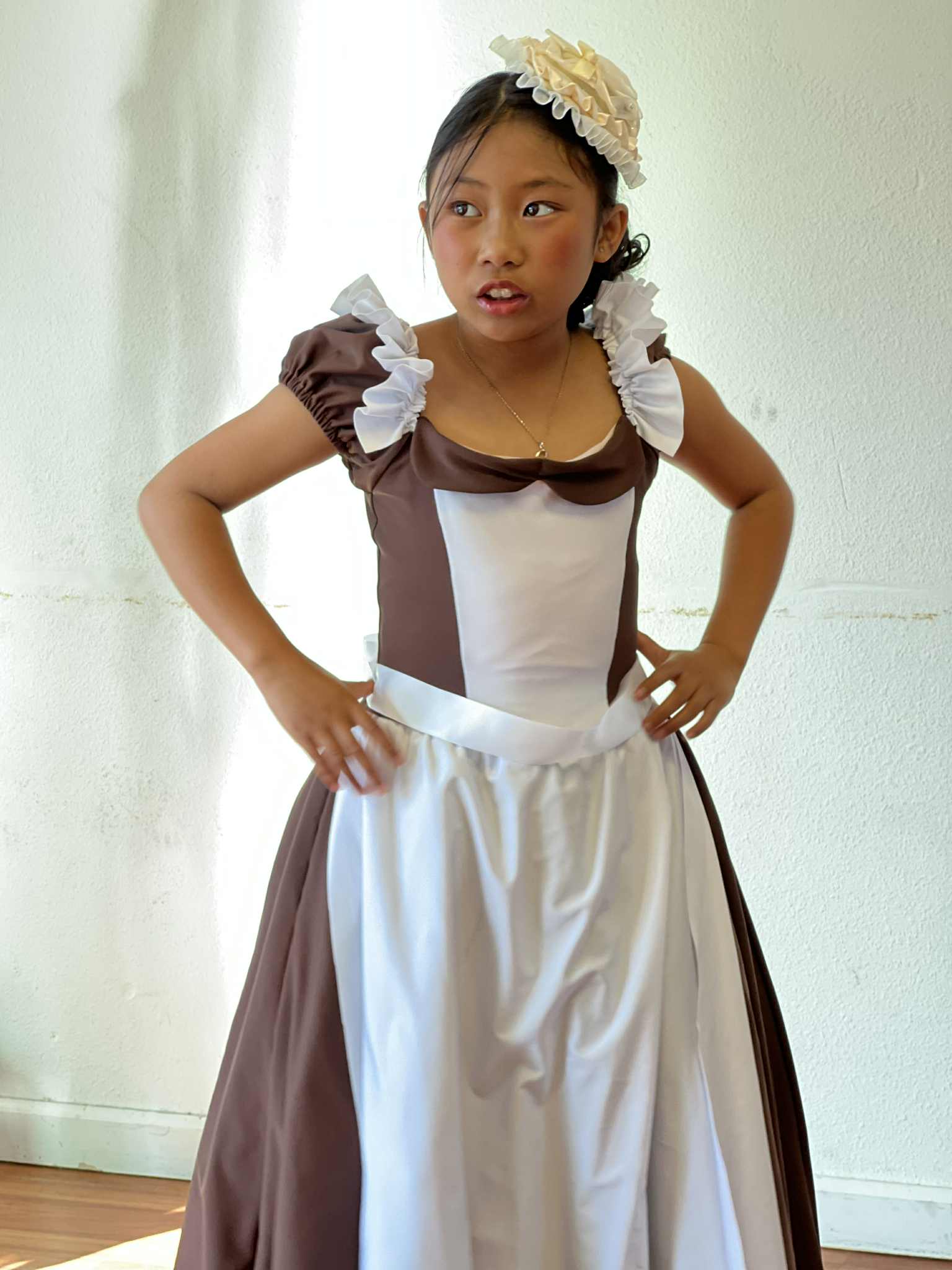 Maid / Village Dress Costume