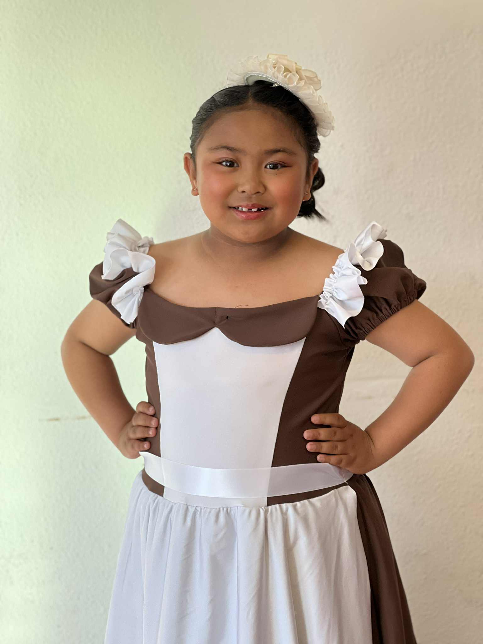 Maid / Village Dress Costume