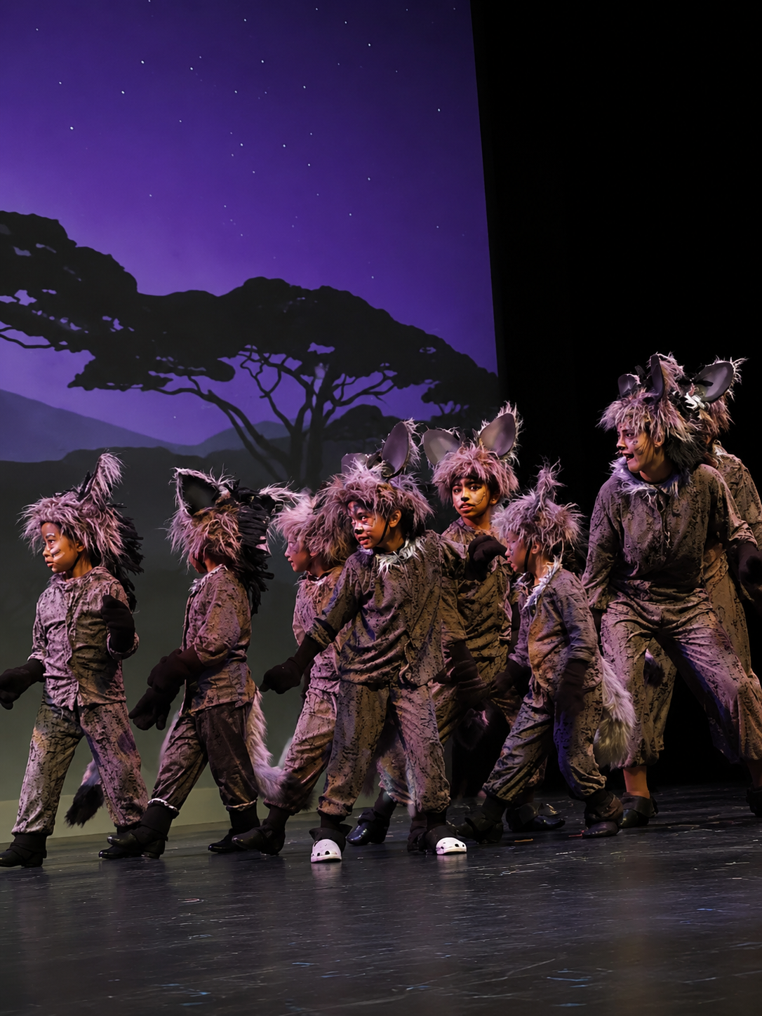 Hyena Costume