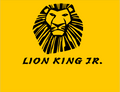 LION KING JR COSTUMES