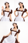 Maid / Village Dress Costume