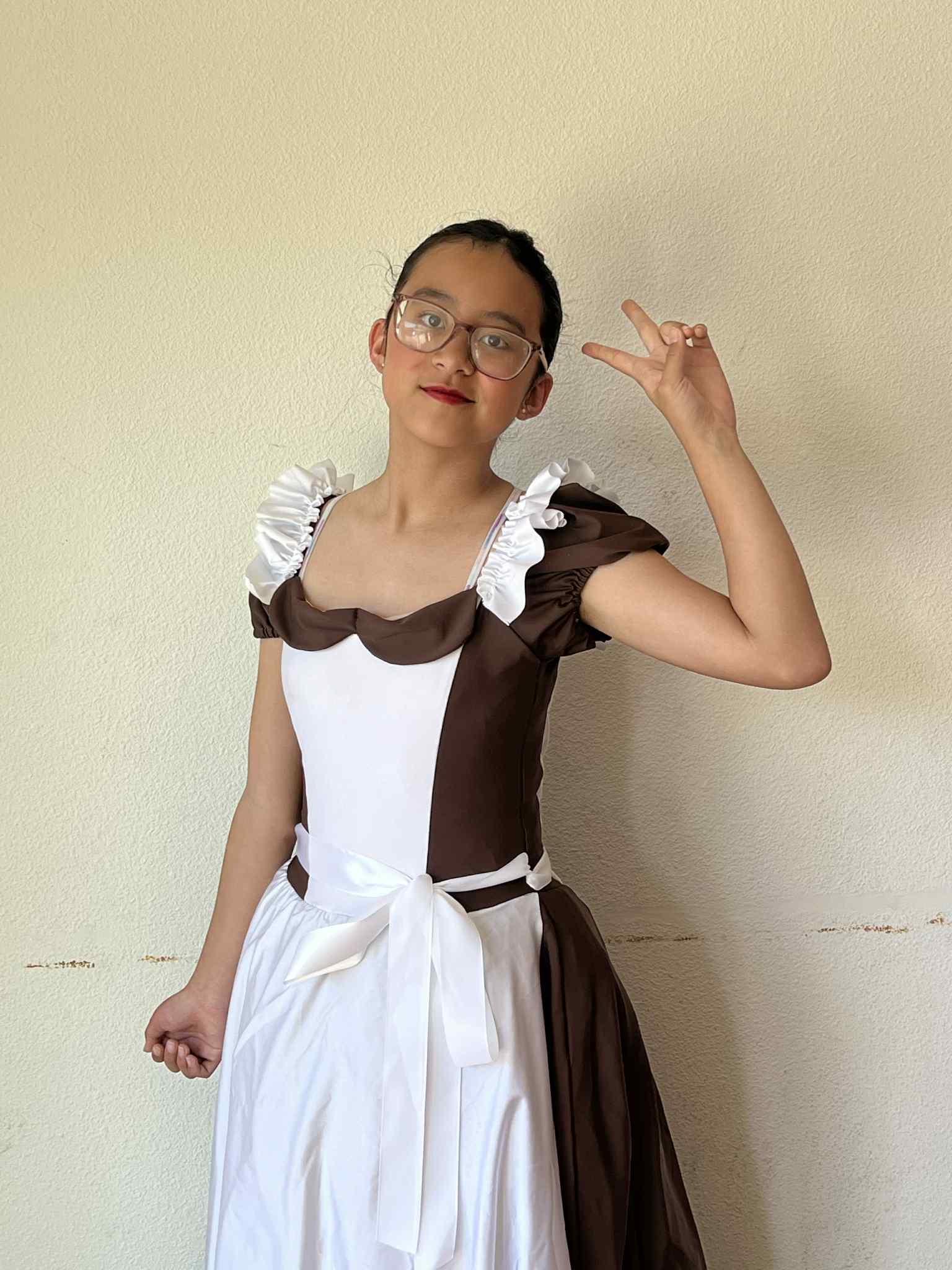 Maid / Village Dress Costume